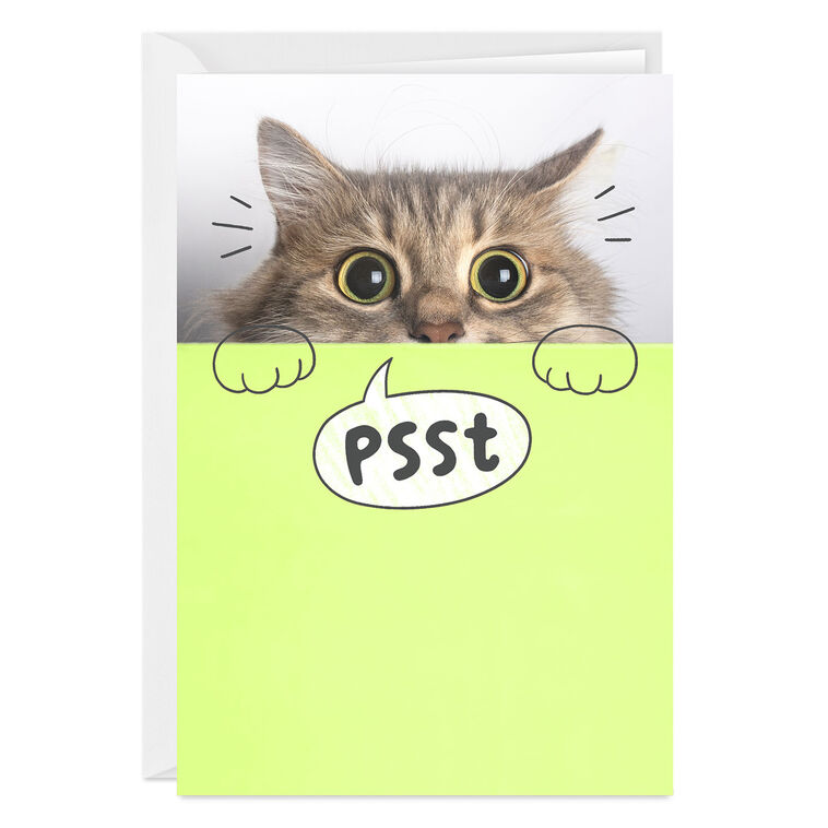 You're Mind Boggling Peeking Cat Custom Card