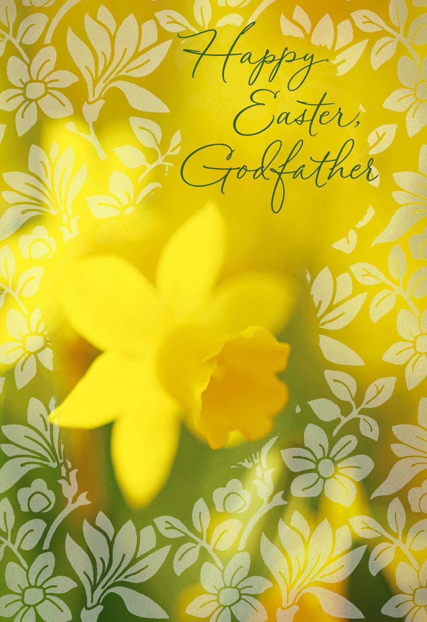 So Much Appreciation Easter Card for Godfather