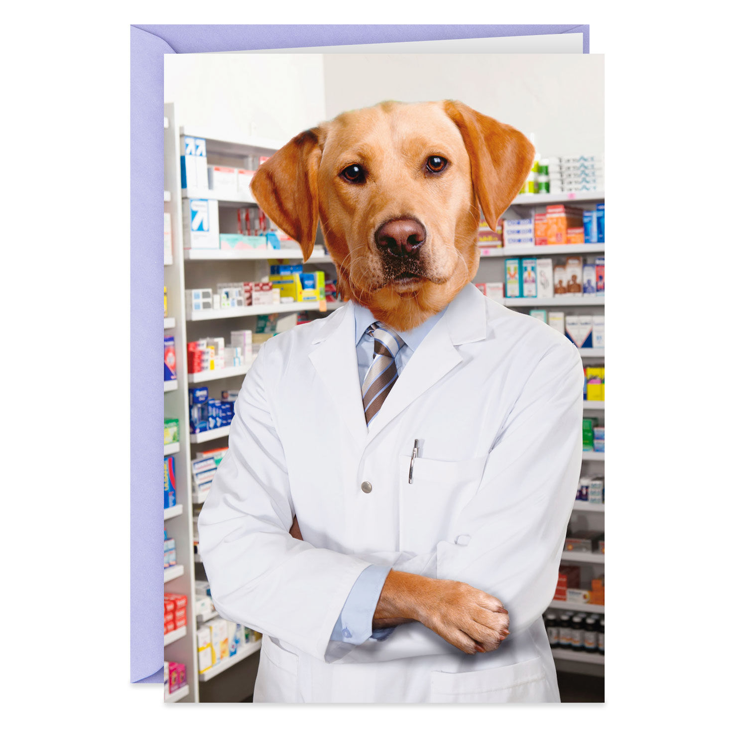 Lab dog coat clearance