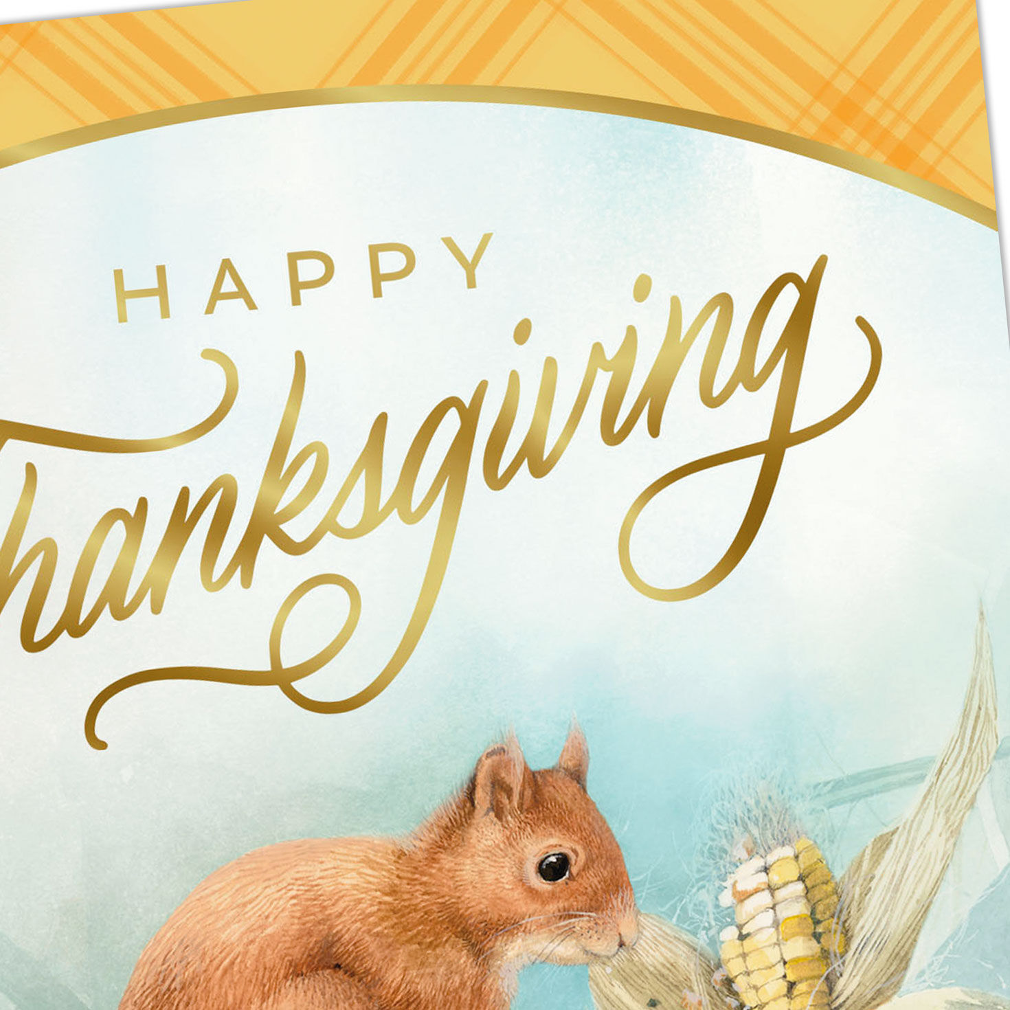 Marjolein Bastin Feelings of Gratefulness Thanksgiving Card for only USD 3.59 | Hallmark