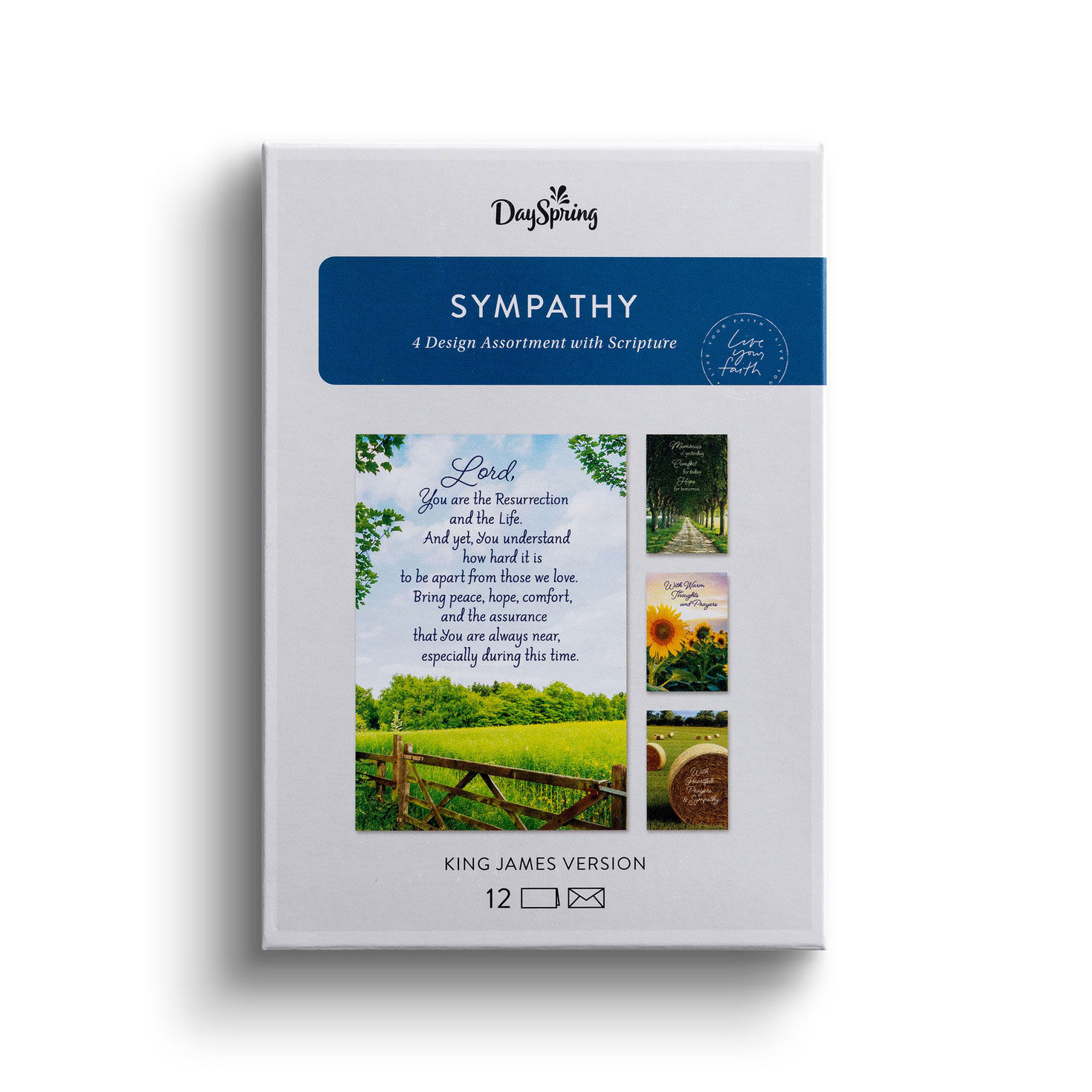 Comfort DaySpring Sympathy Cards Assortment package front image number 2