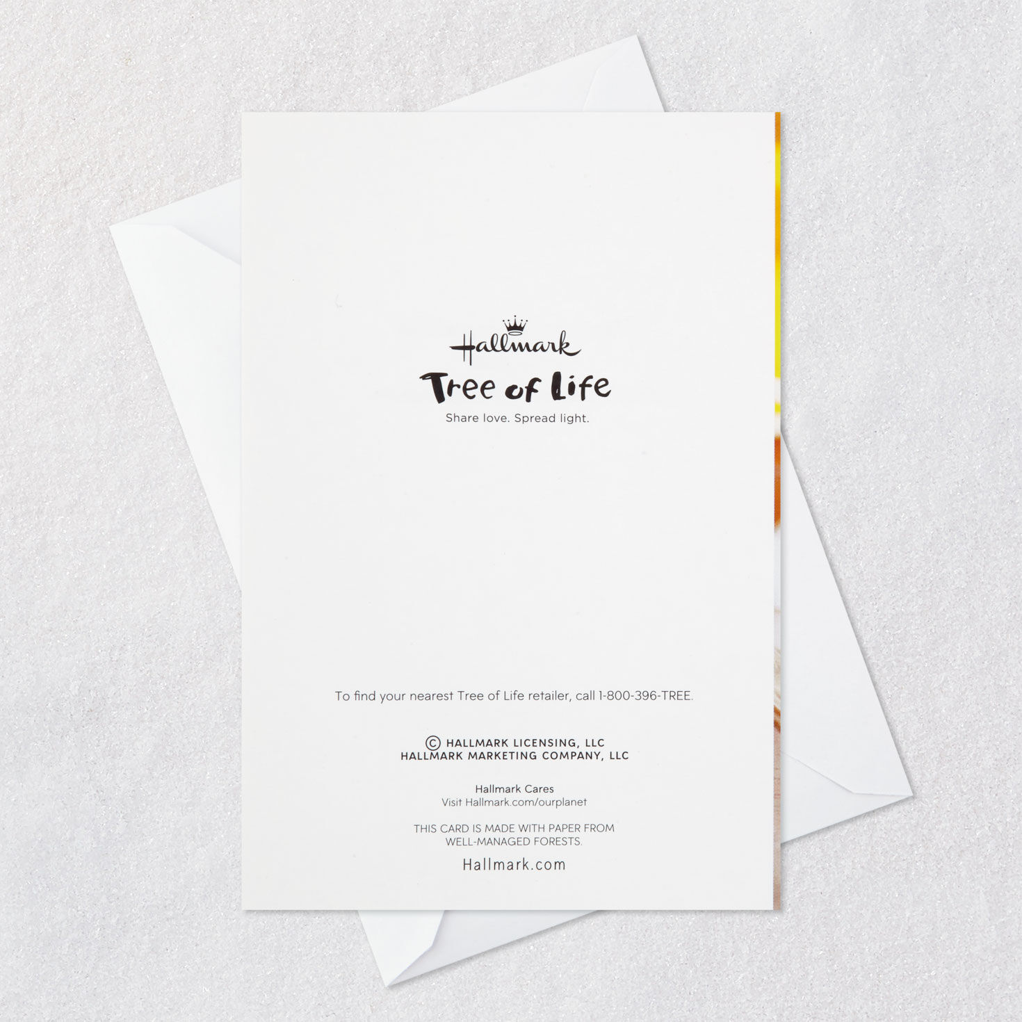 Star of David Rosh Hashanah Cards Pack Card Back with Envelope image number 7