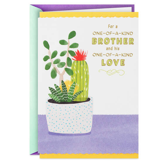 One-of-a-Kind Anniversary Card for Brother and Spouse