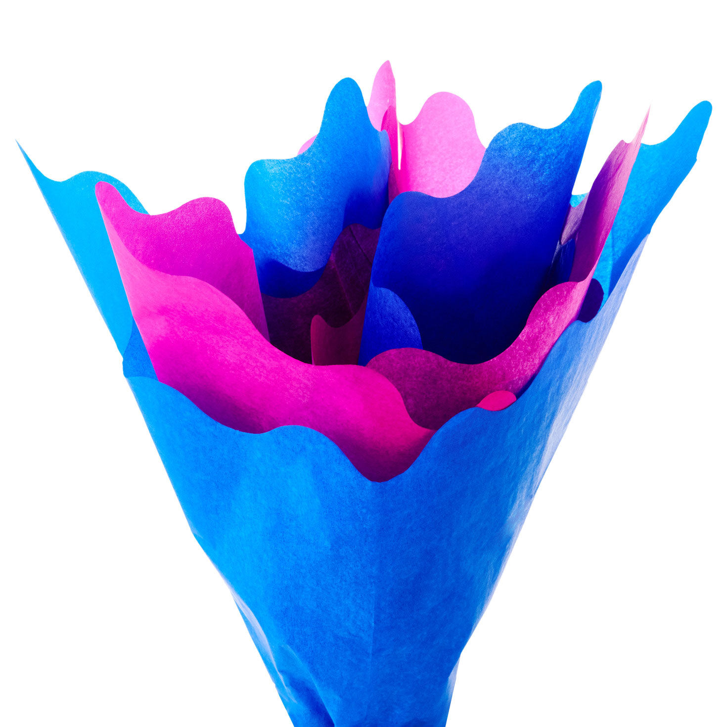 Bright Pink and Blue Scalloped Tissue Paper Pack Fanned image number 2