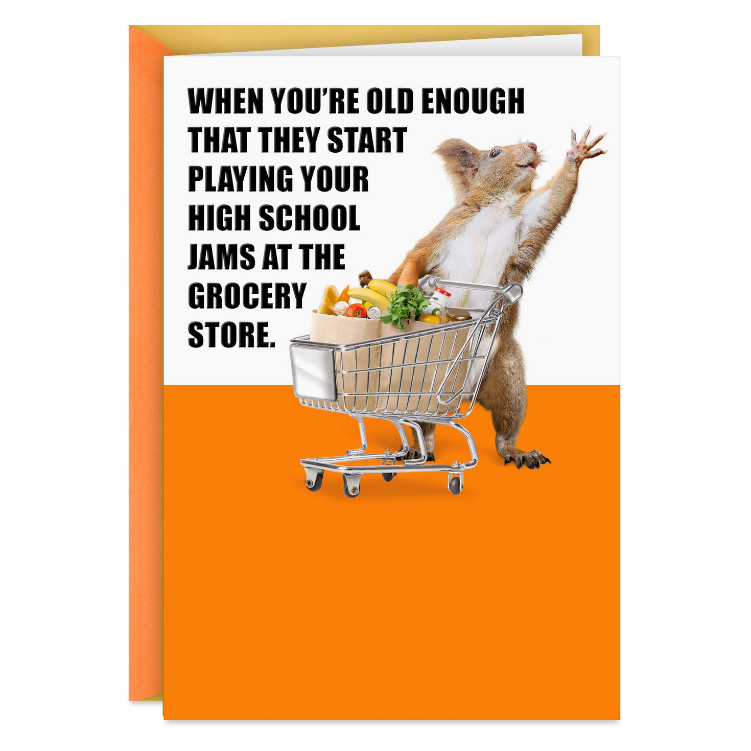 To an Oldie and a Goodie Funny Birthday Card