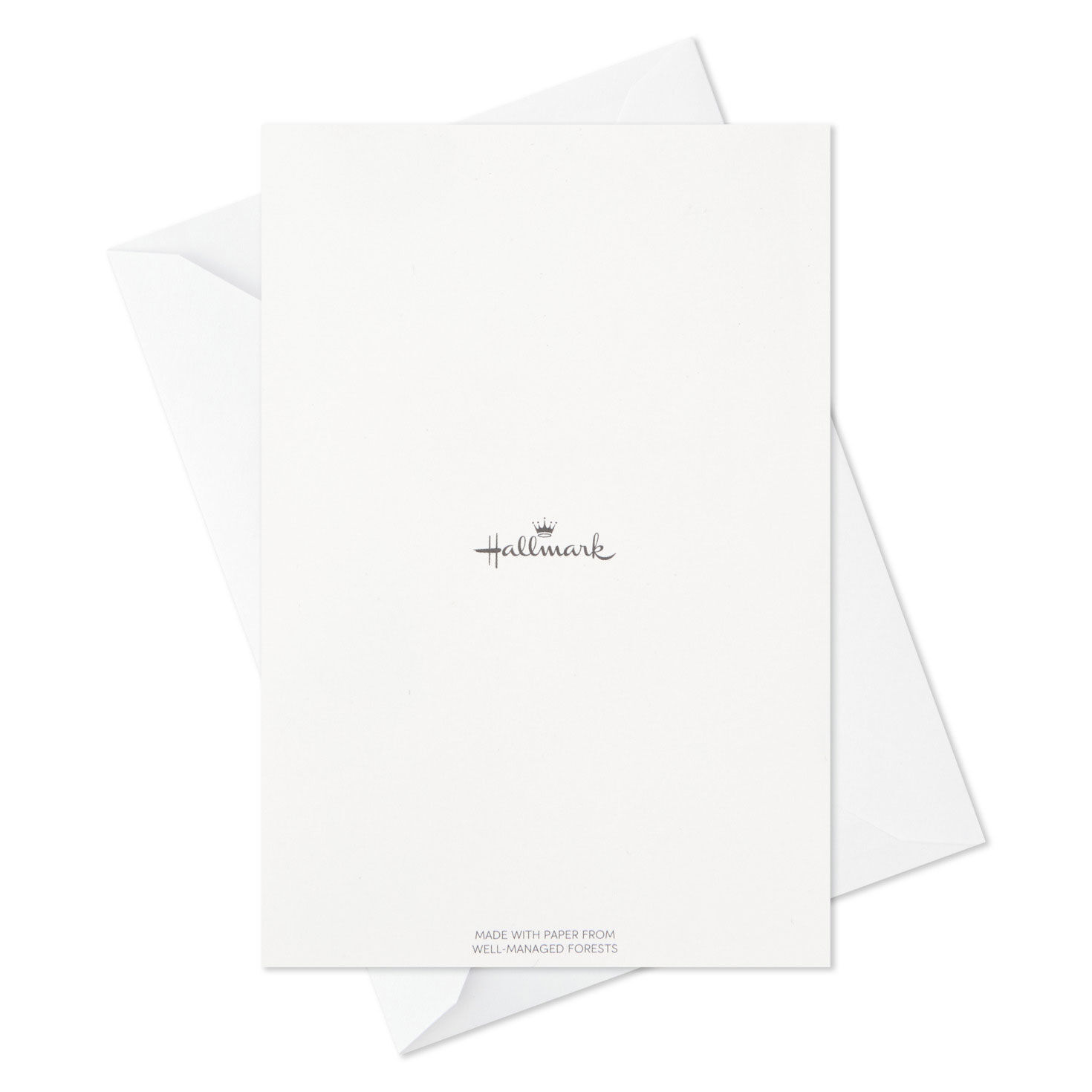 Woodland Animals Blank Thank-You Notes Assortment Pack card back with envelope image number 5