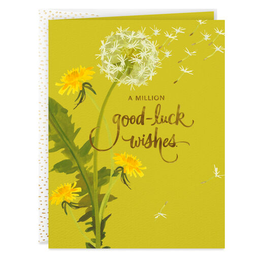 A Million Wishes Good Luck Card, 