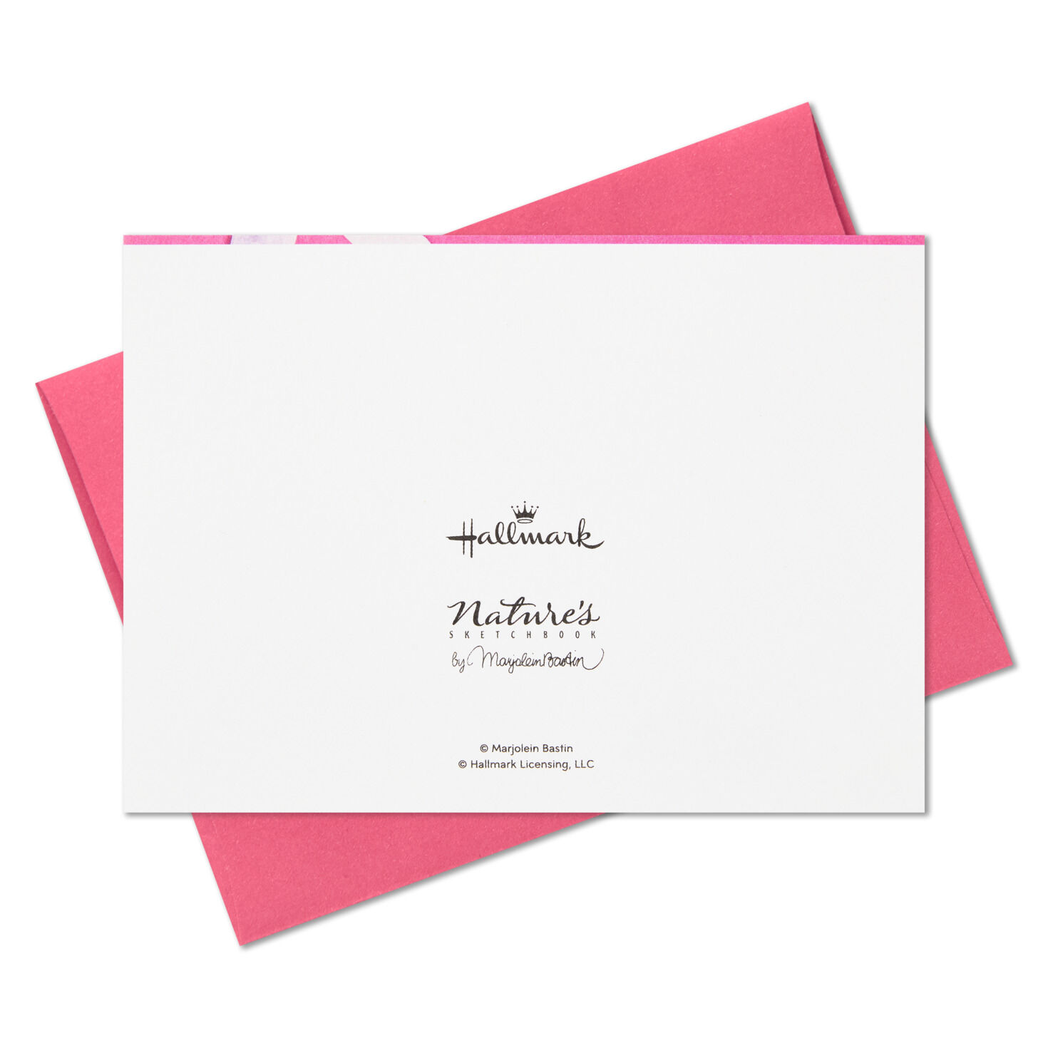 Marjolein Bastin Hummingbird and Butterfly Boxed Blank Note Cards Multipack, Pack of 10, , large image number 5