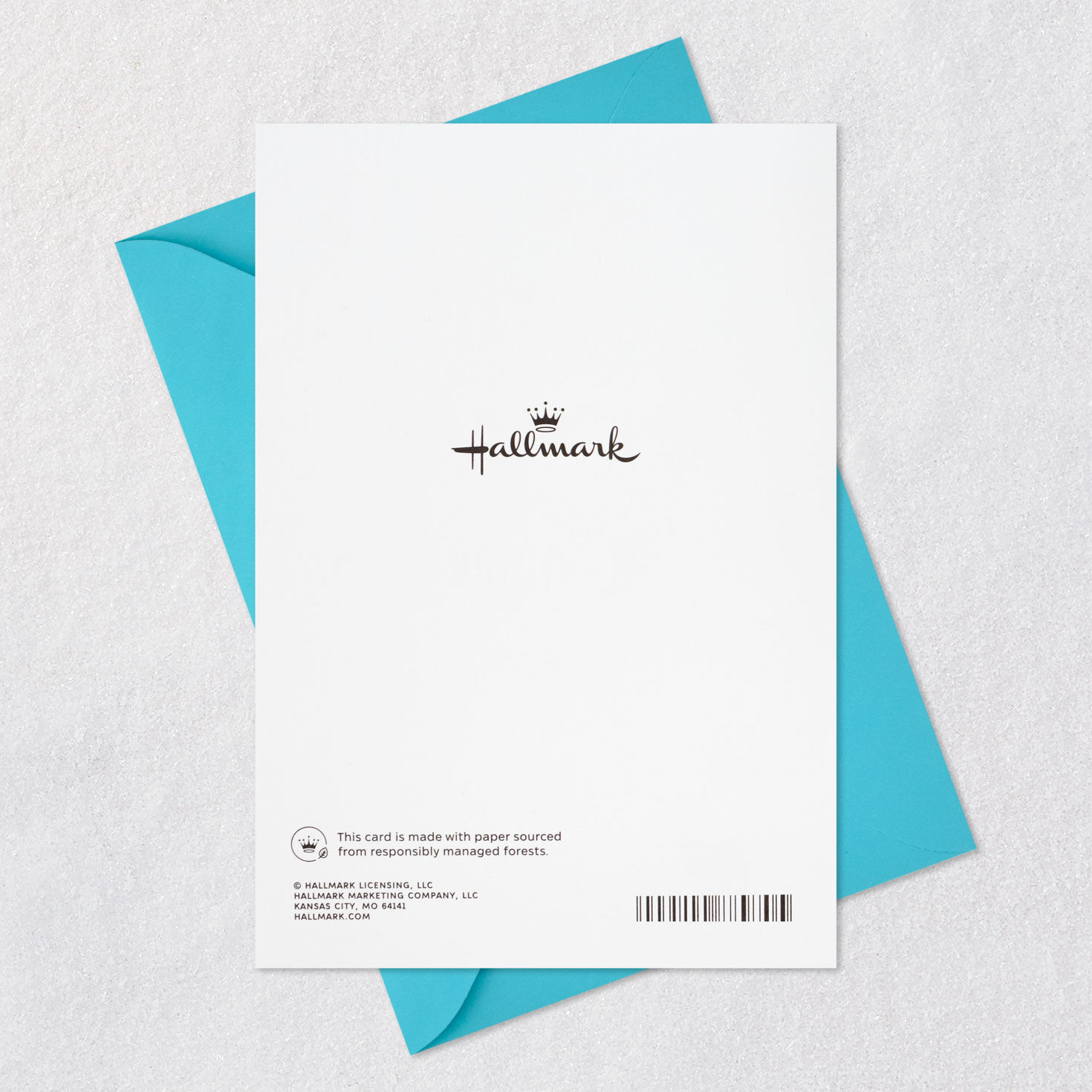 Bluebird with Flowers Sympathy Card  image number 7