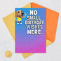 Silly Dog Funny Pop-Up Birthday Card, , large image number 8