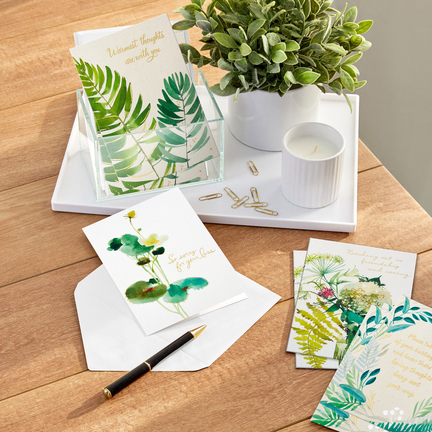 Watercolor Botanical Assorted Boxed Sympathy Cards card in use image number 8
