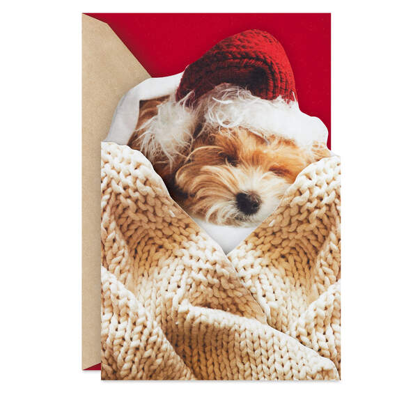 Cozy Puppy Dog in Santa Hat Christmas Card