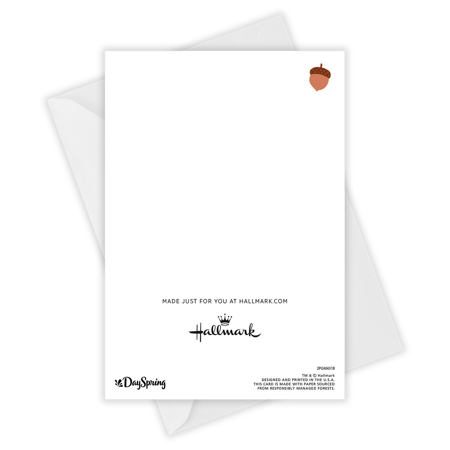 Leaf Acorn Drawings Personalized Thanksgiving Card Card Back with Envelope image number 4