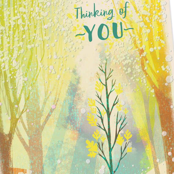Caring Thoughts Shining Through Thinking of You Card, , large image number 4