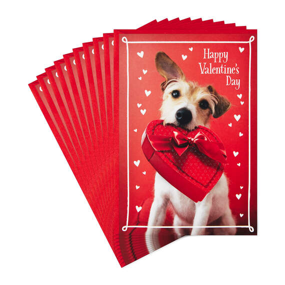Dog With Box of Chocolates Valentine's Day Cards, Pack of 10, , large image number 1