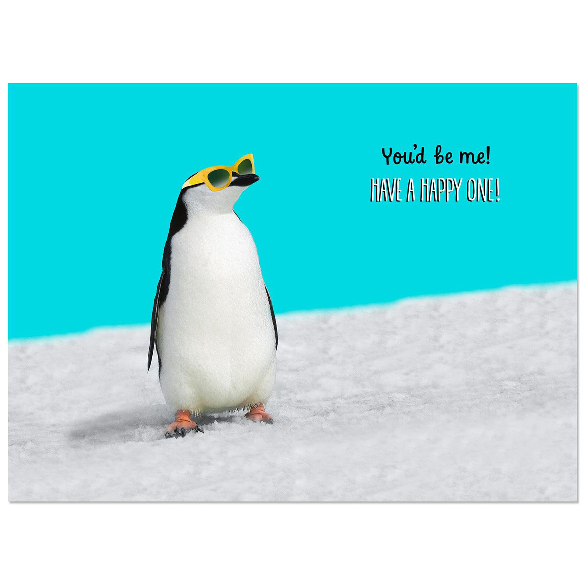 Penguin For My Cool Sister Funny Birthday Card - Greeting Cards - Hallmark