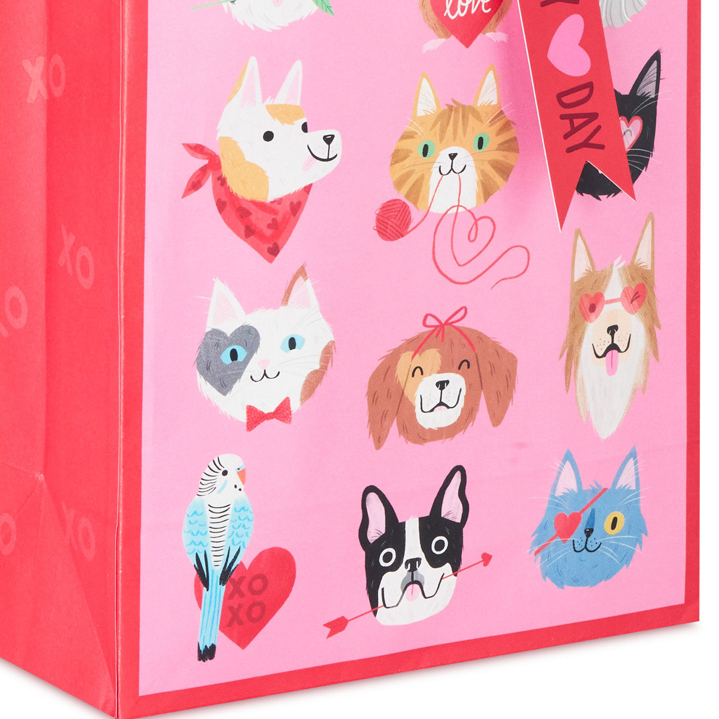 Pets Medium Valentine's Day Gift Bag With Tissue front detail image number 5