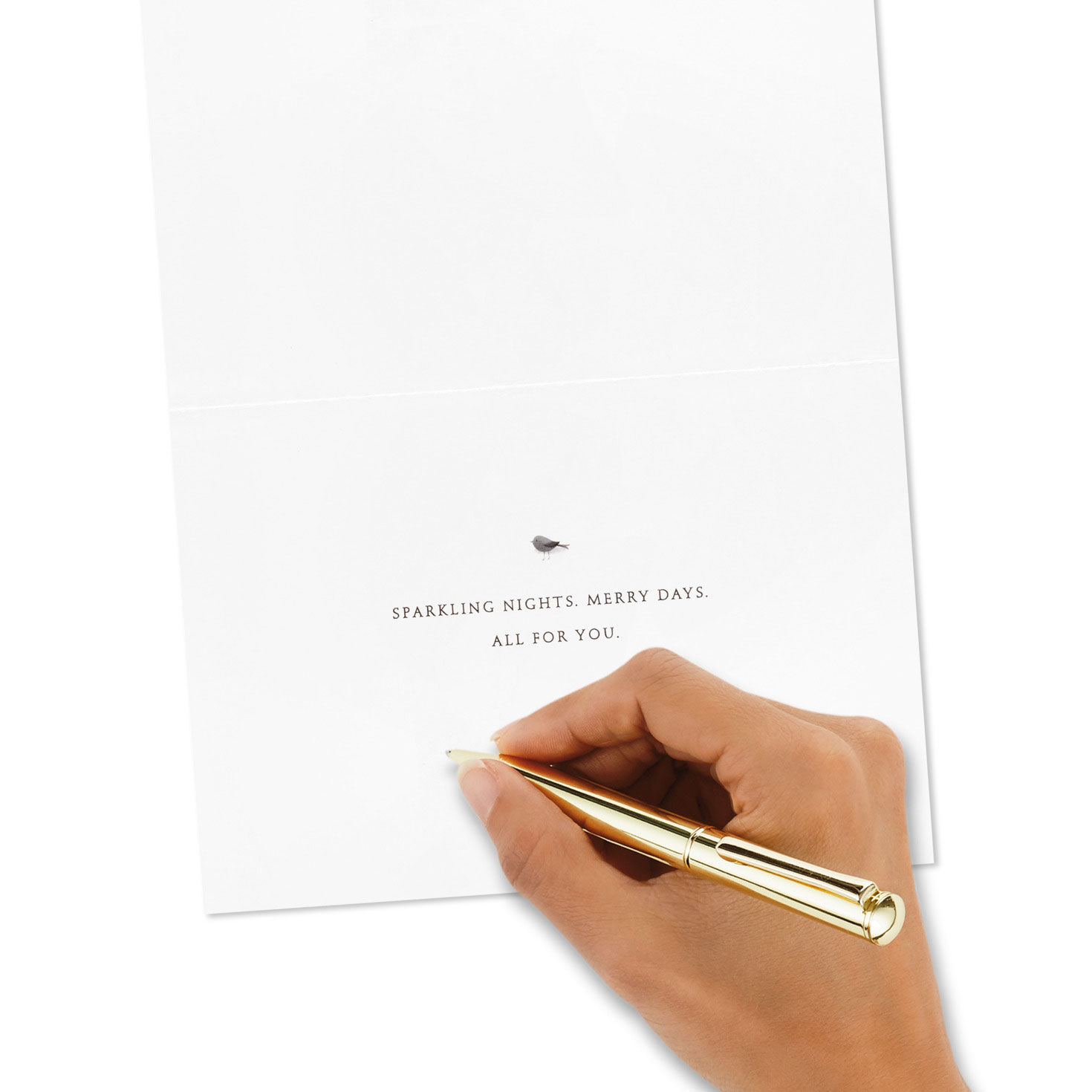 Polar Bear in Red Scarf Boxed Holiday Cards, Pack of 16 for only USD 15.49 | Hallmark