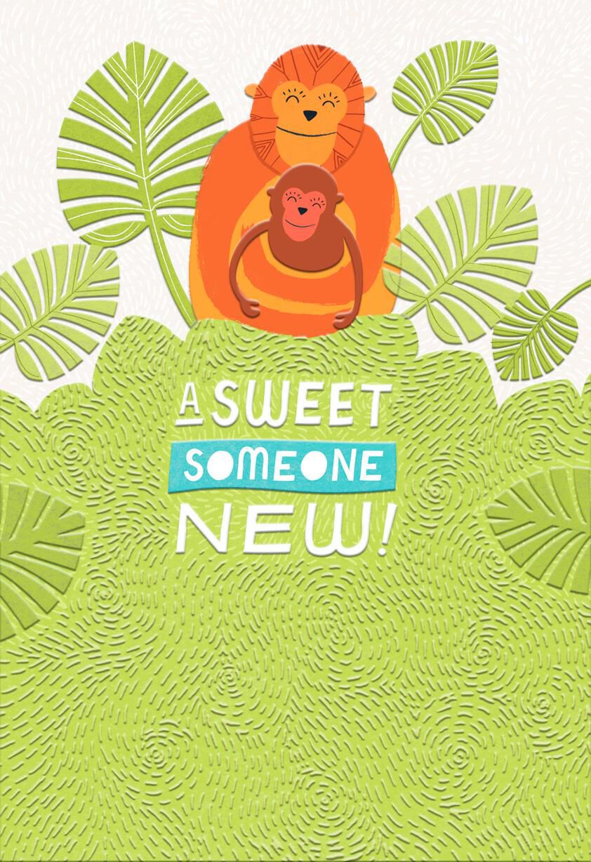 Mama and Baby Monkey New Baby Card