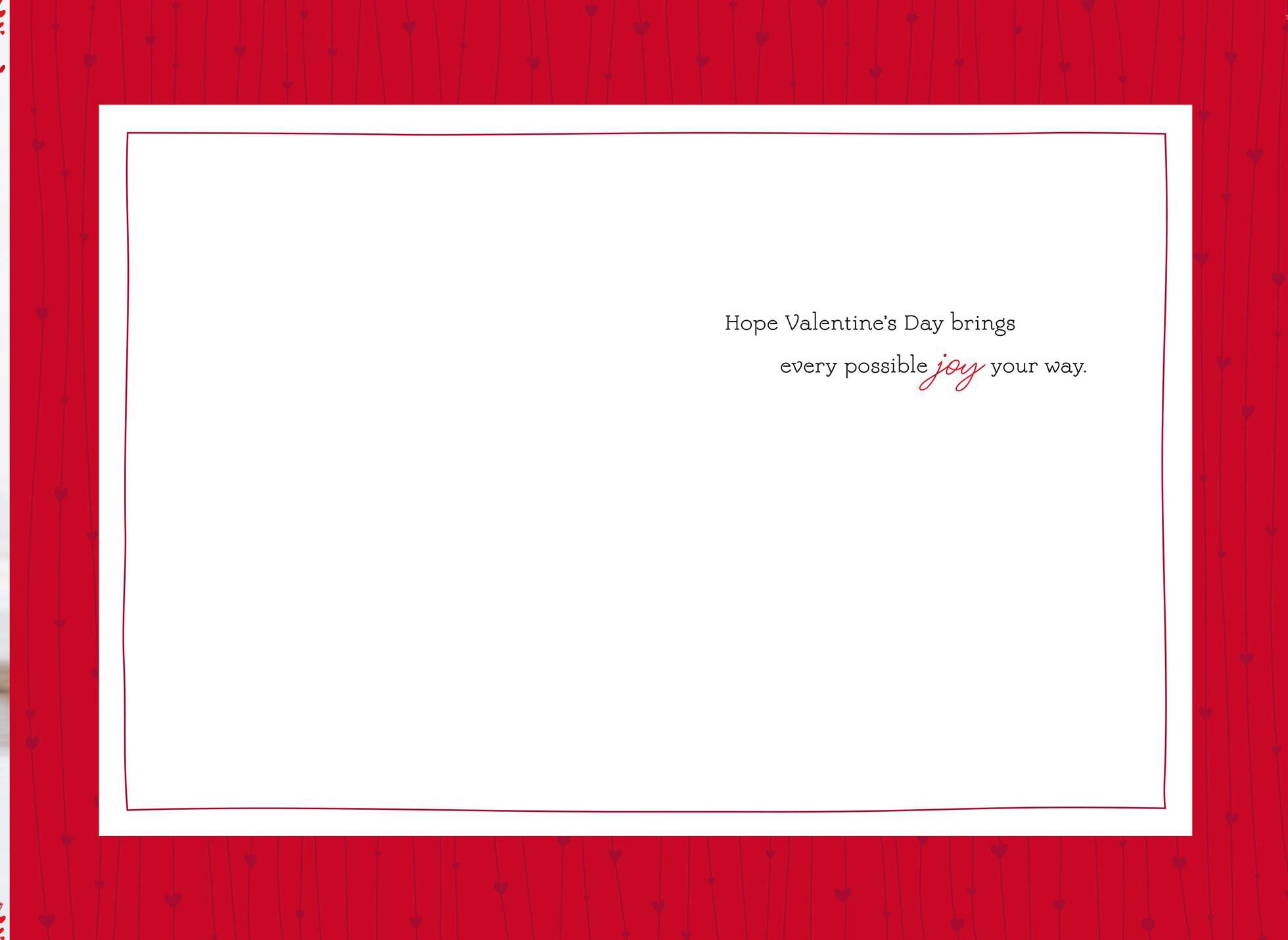 Every Possible Joy Valentine's Day Card for Daughter and Son-in-Law