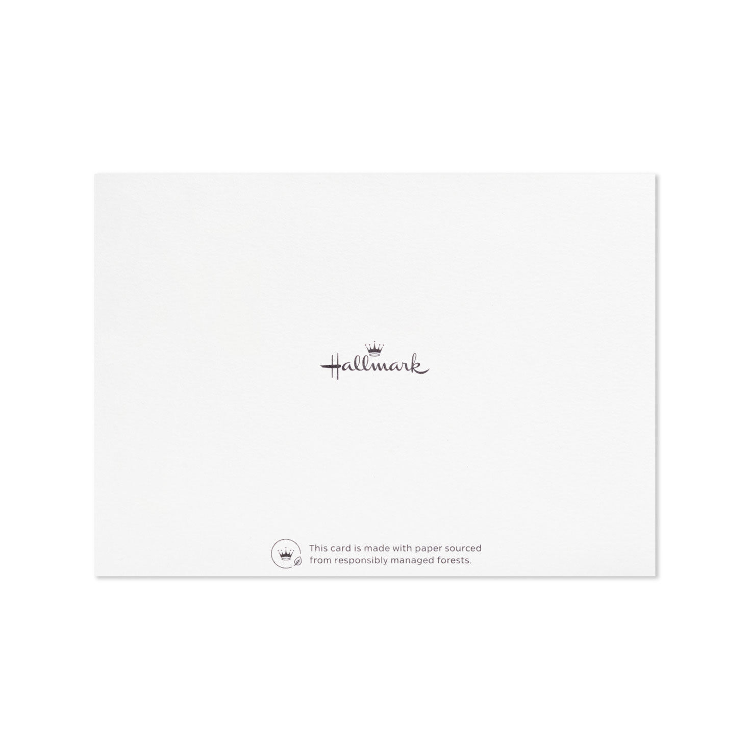 Simple Graphics Assorted Flat Note Cards  image number 5