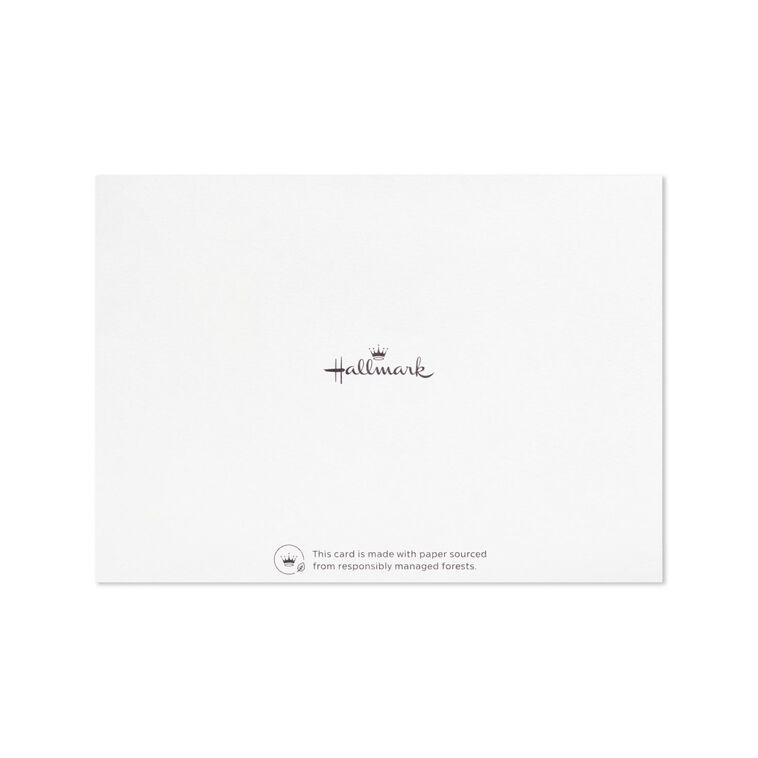 Simple Graphics Flat Note Cards Assortment, Pack of 20 - Note Cards ...