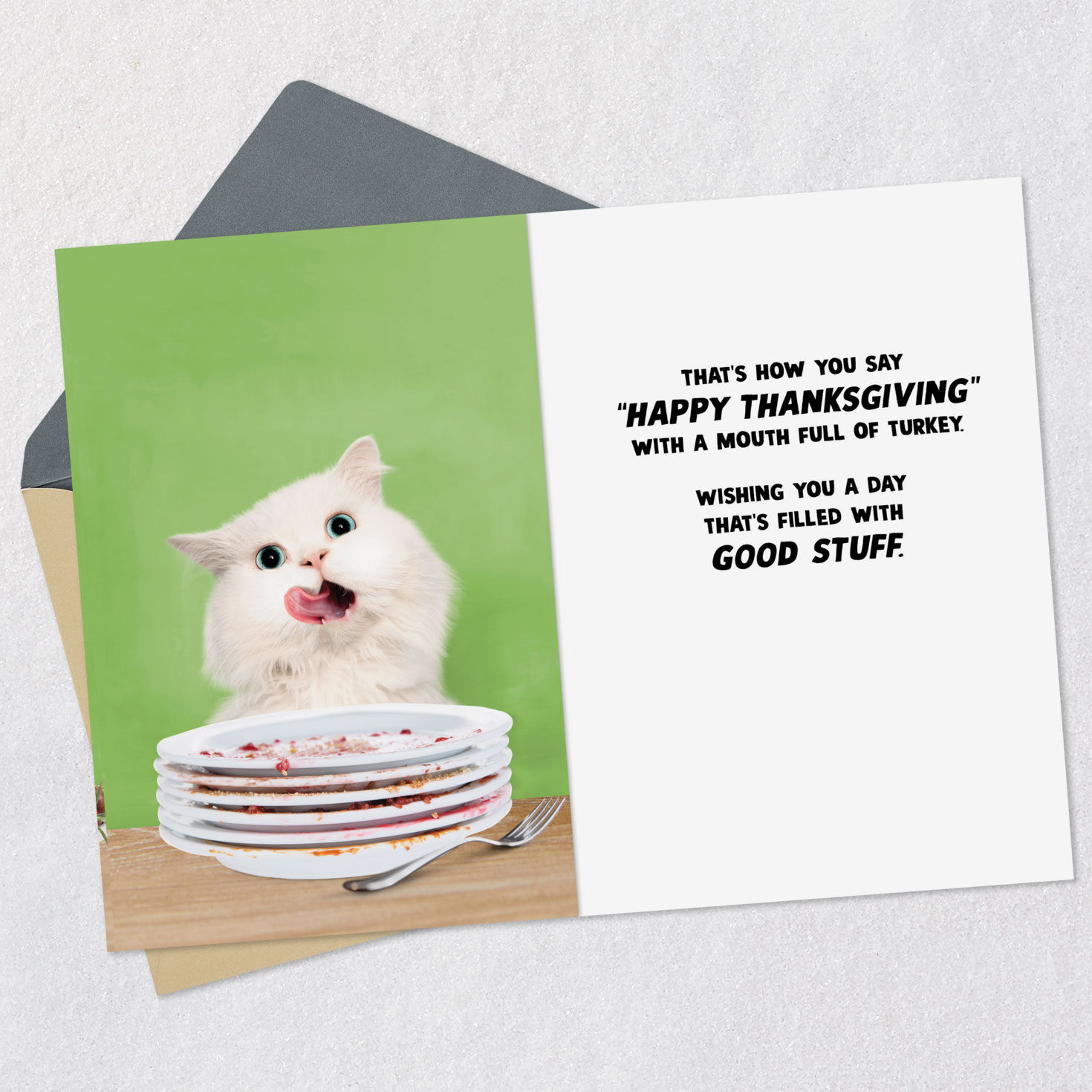 Cat With Roasted Turkey Funny Thanksgiving Card Open card with envelope image number 3