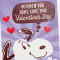 Peanuts® Snoopy Fetched You Some Love Valentine's Day Postcard, , large image number 4