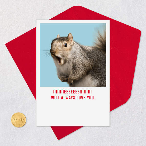I Will Always Love You Squirrel Funny Valentine's Day Card, , large image number 5