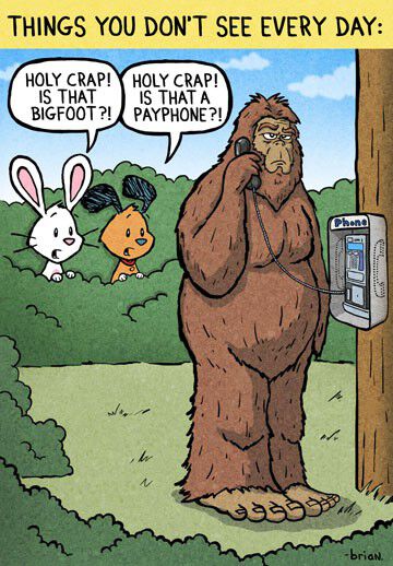 Chuck and Beans Payphone Funny Birthday Card