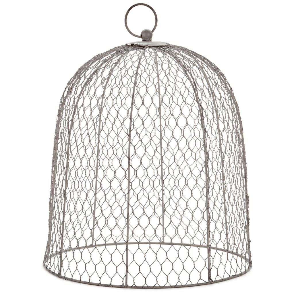 chicken wire cloche decorative