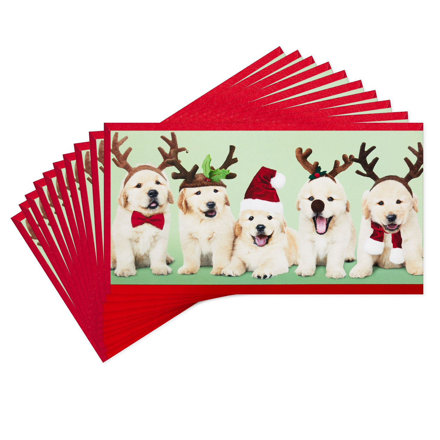 Puppies in Antlers Money Holder Christmas Cards, Pack of 10