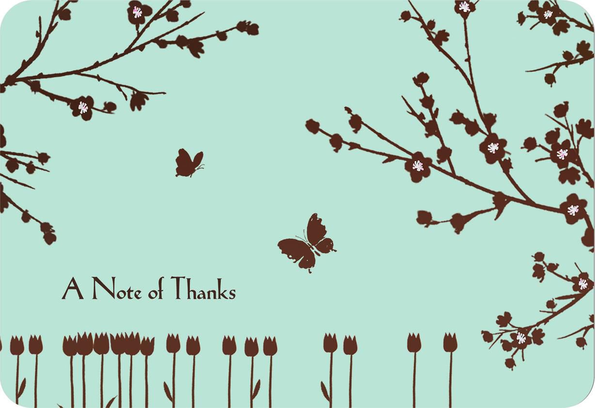 ThankYou Cards and Bulk ThankYou Notes Hallmark