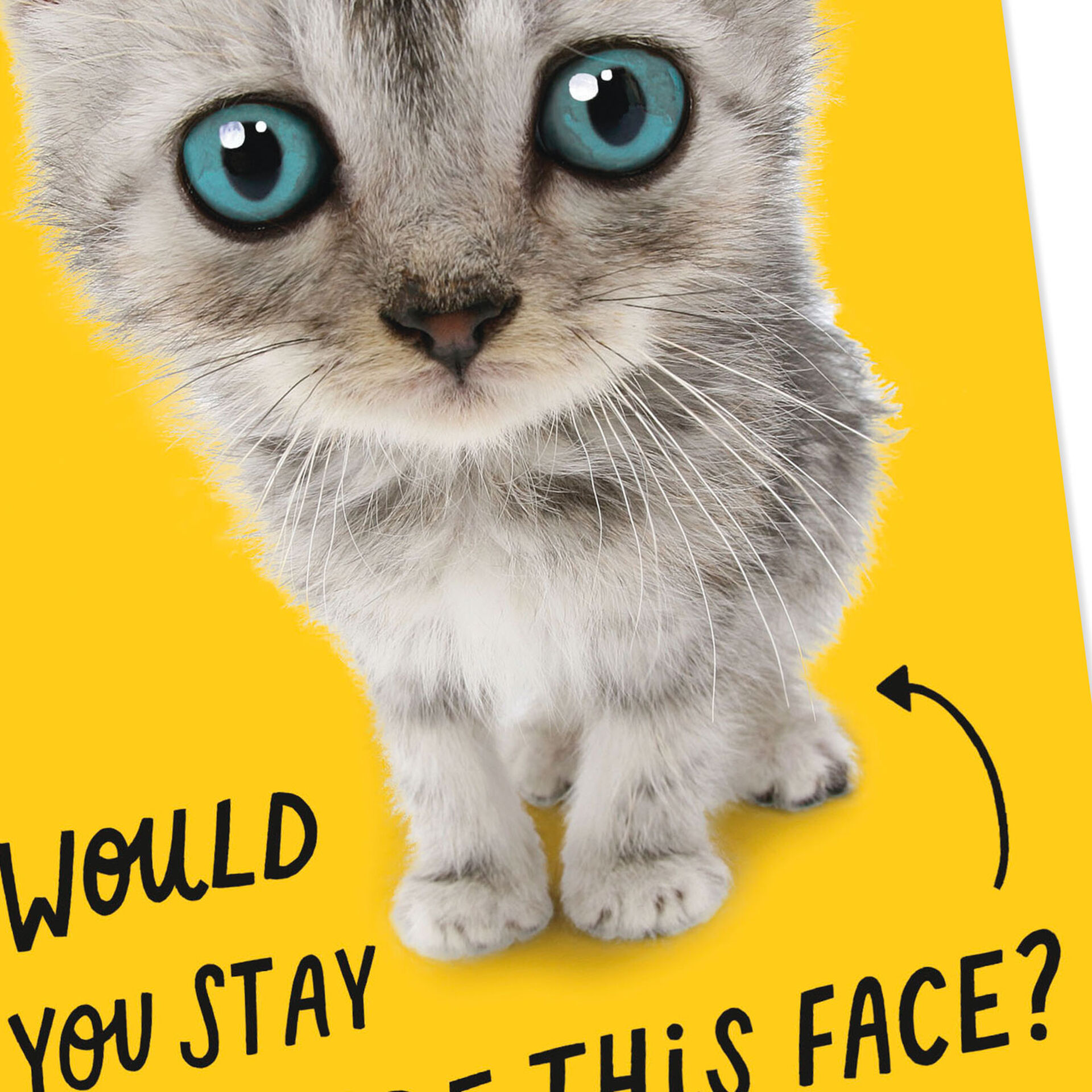 Cute Kitten Face Goodbye Card - Greeting Cards - Hallmark