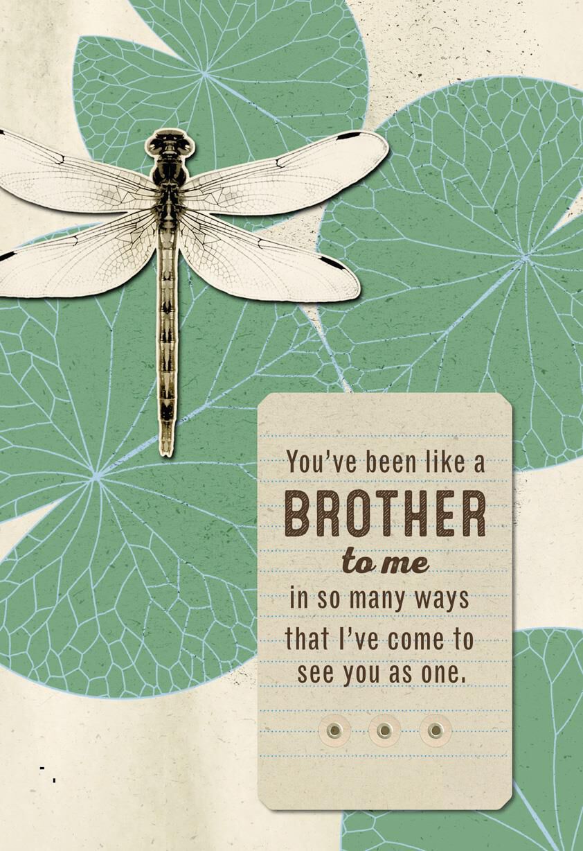 Love You Like a Brother Birthday Card