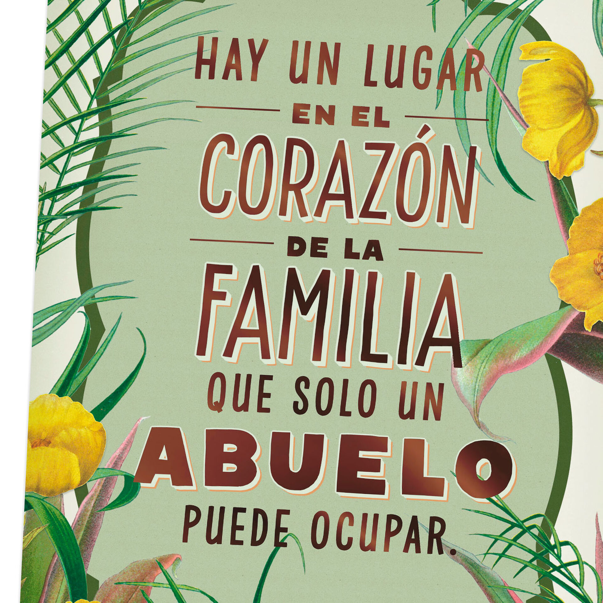 Download For A Special Grandpa Spanish Language Father S Day Card Greeting Cards Hallmark