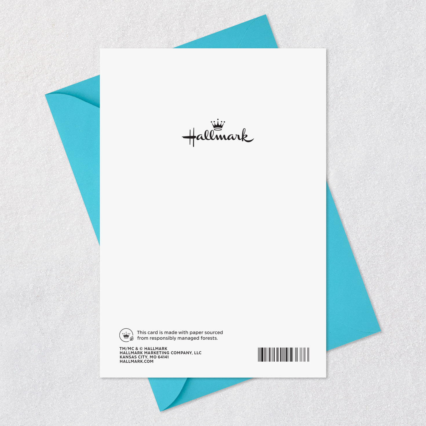 Pet Portraits Pet Sitter Thank You Card Card Back with Envelope image number 7