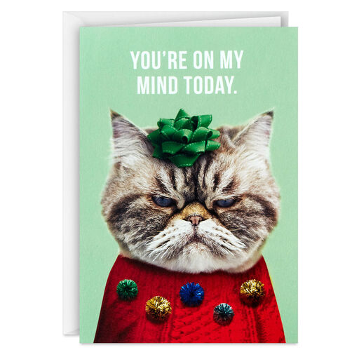 Kevin the Cat in Holiday Sweater Boxed Christmas Cards, Pack of 16, 