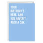 You Haven't Aged a Day Funny Birthday Card, , large image number 1