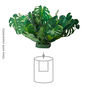 Build-a-Bouquet Monstera Pop-Up Paper Plant, Monstera Plant, large image number 2