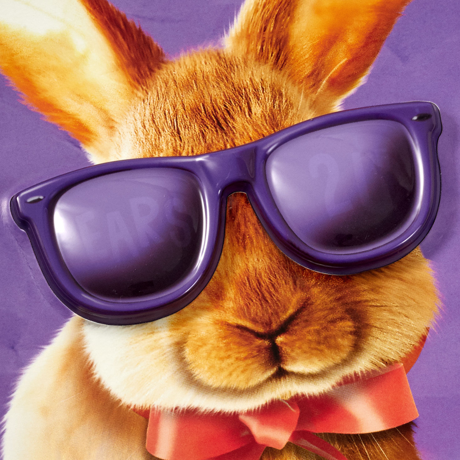 Bunny With Light-Up Glasses Funny Easter Card With Music Card Front Detail image number 6