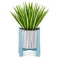 Spider Plant Keep Growing 3D Pop-Up Hello Card, , large image number 2
