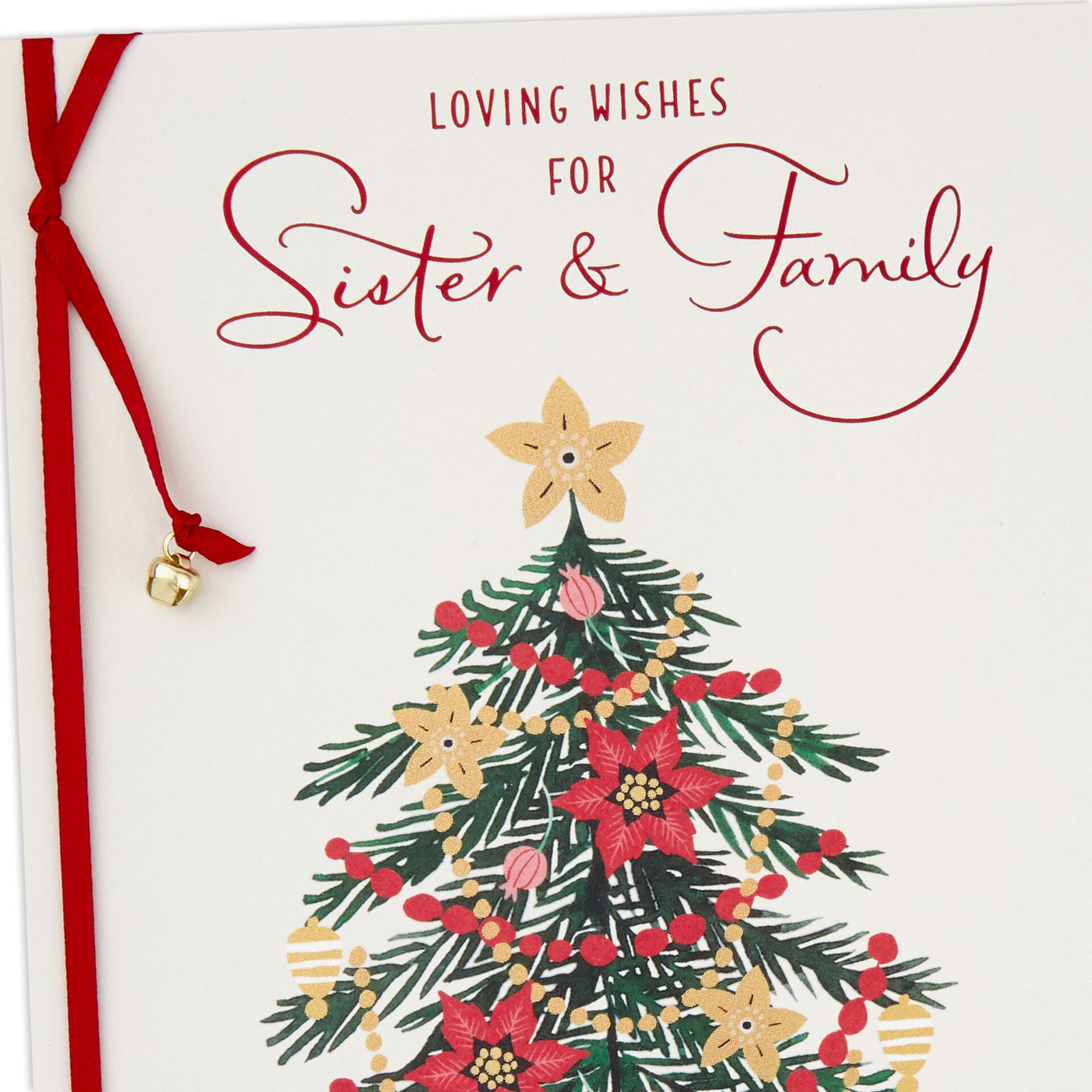 Warm and Merry Christmas Card for Sister and Family  Greeting Cards