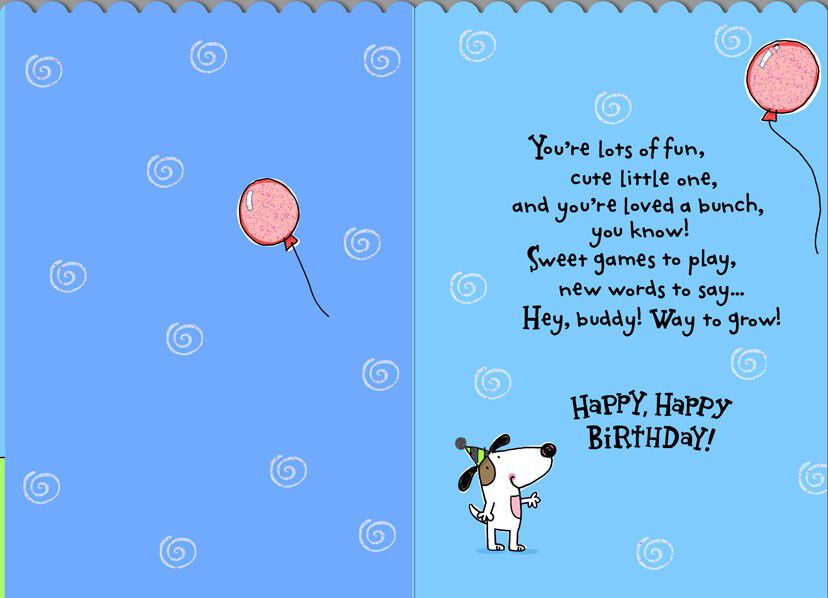 Dogs and Cat on Slide Birthday Card