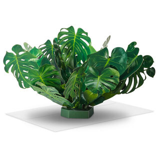 Build-a-Bouquet Monstera Pop-Up Paper Plant