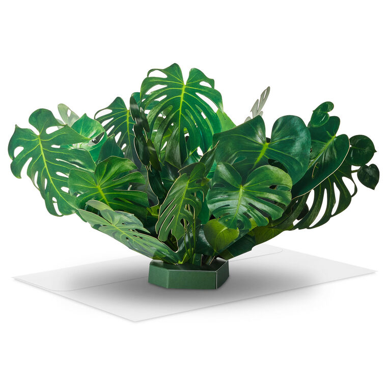 Build-a-Bouquet Monstera Pop-Up Paper Plant