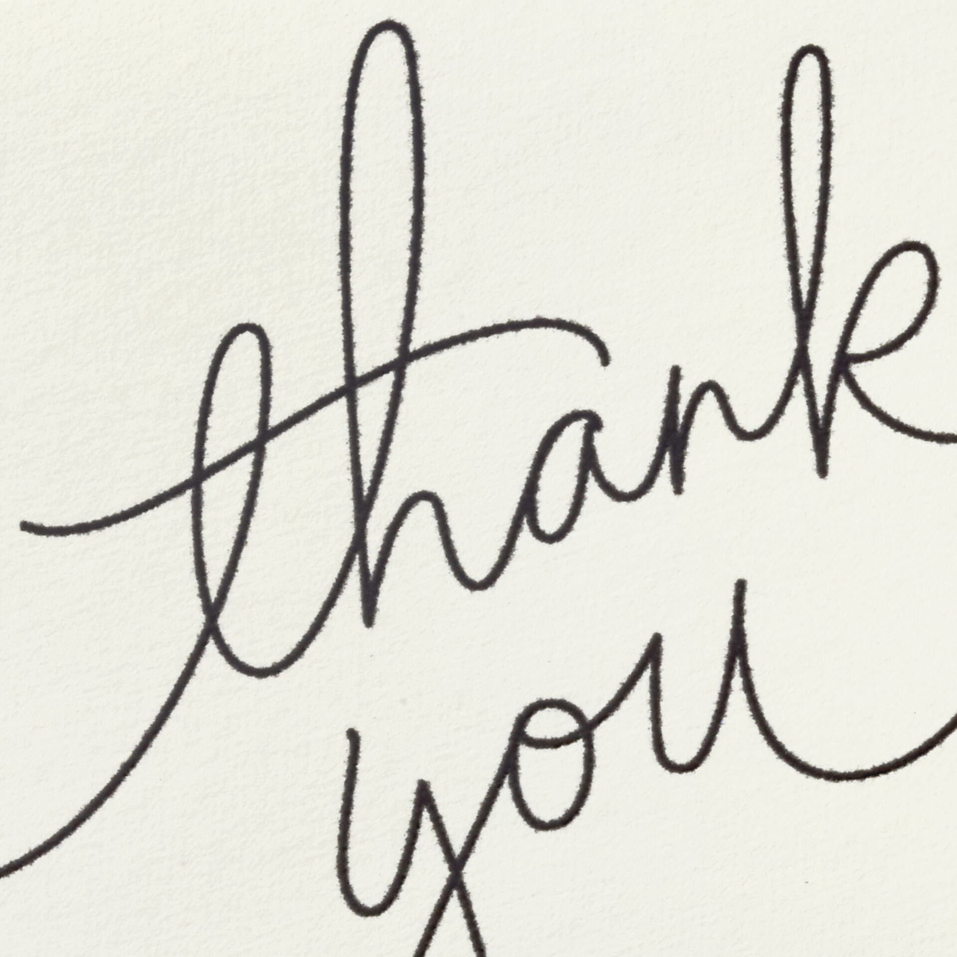 Black Script Bulk Boxed Blank ThankYou Notes, Pack of 40 Note Cards