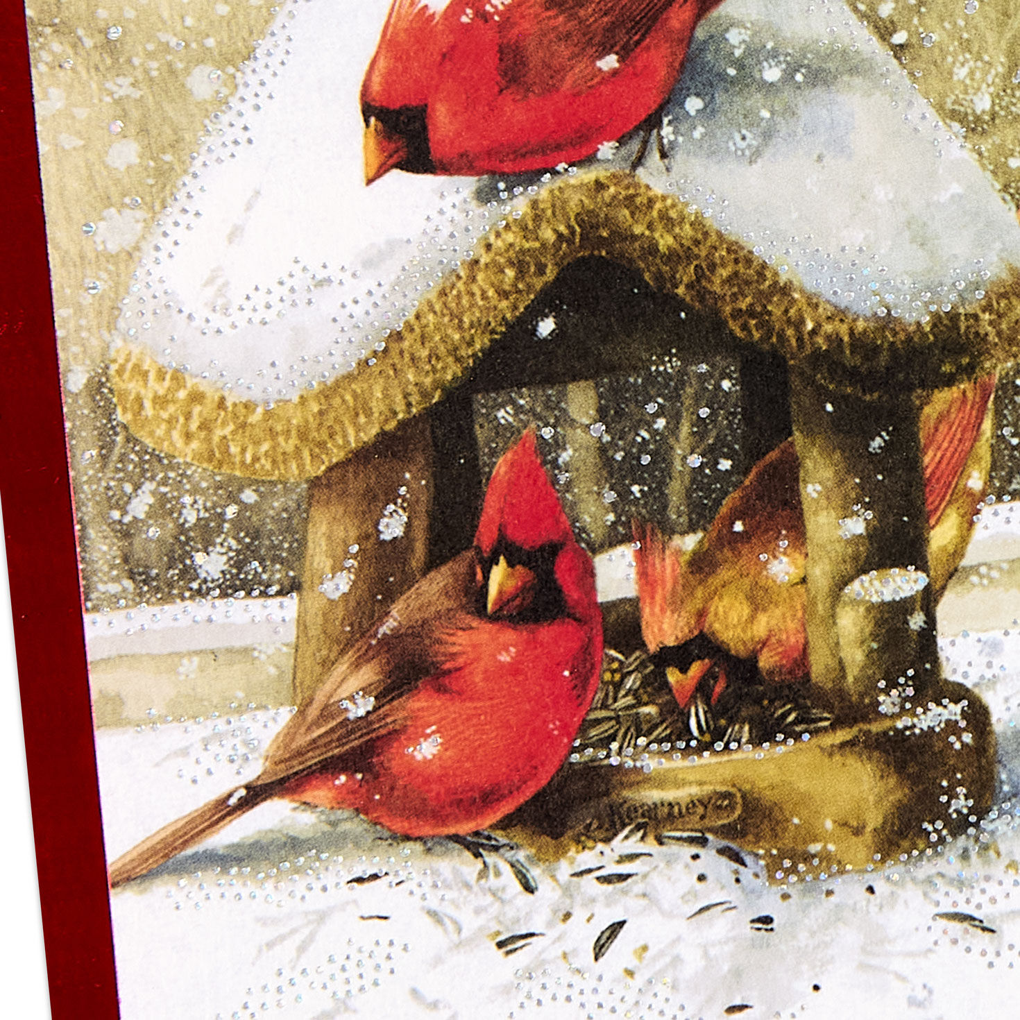Marjolein Bastin Cardinal Birdhouse Christmas Card Card Cover Detail image number 4