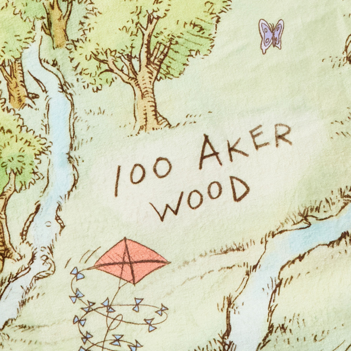 Disney Winnie the Pooh Hundred Acre Wood Map Blanket upclose view image number 3