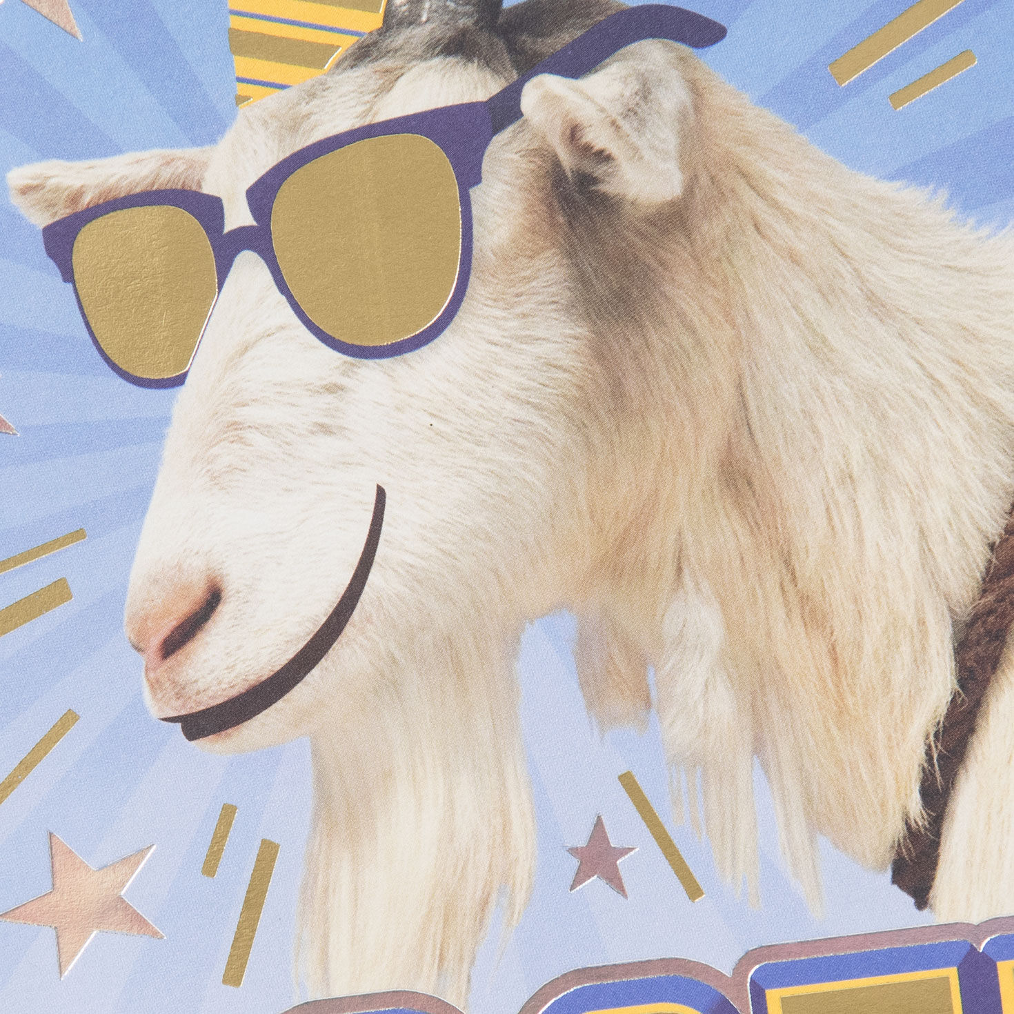 G.O.A.T. Funny Birthday Card, , large image number 4